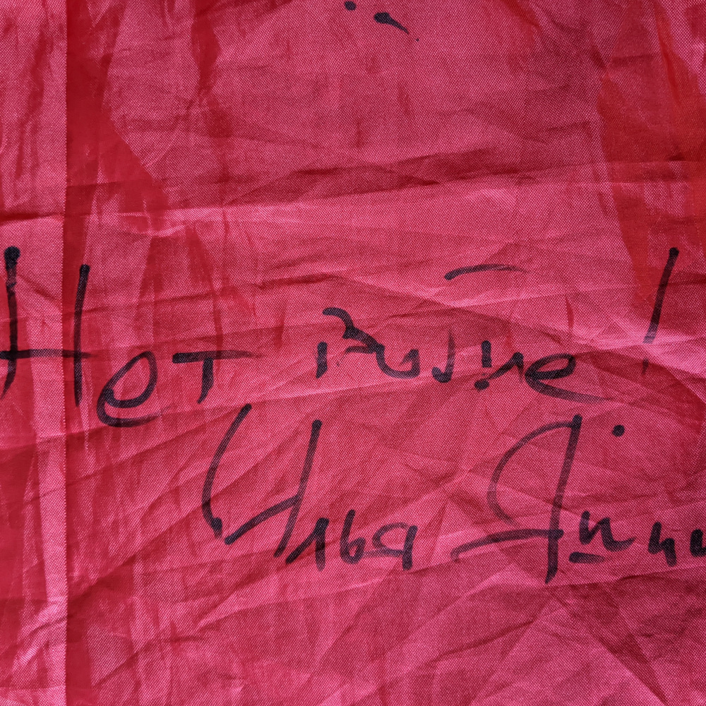 Flag of Portugal with signatures of activists, and famous people